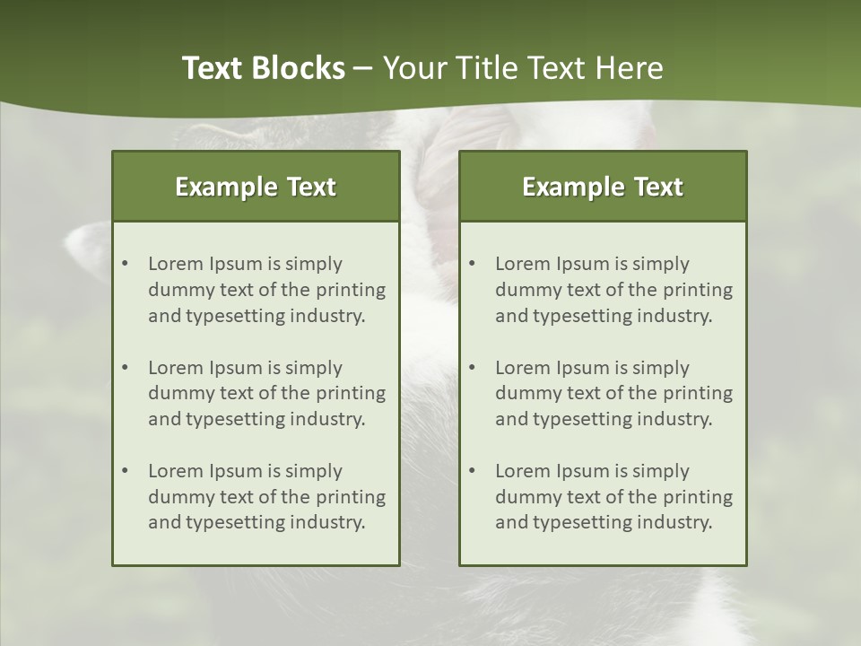 Animal Fresh Raw PowerPoint Template