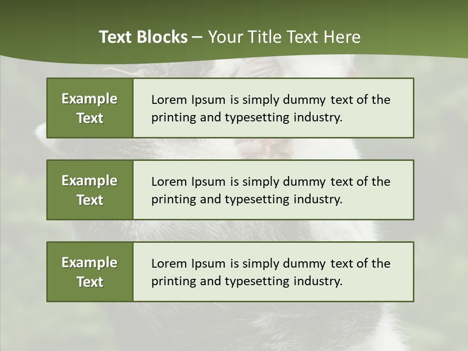 Animal Fresh Raw PowerPoint Template