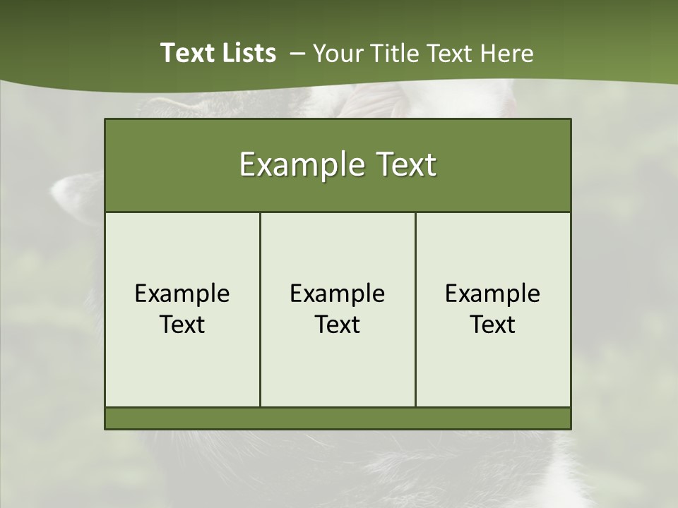 Animal Fresh Raw PowerPoint Template
