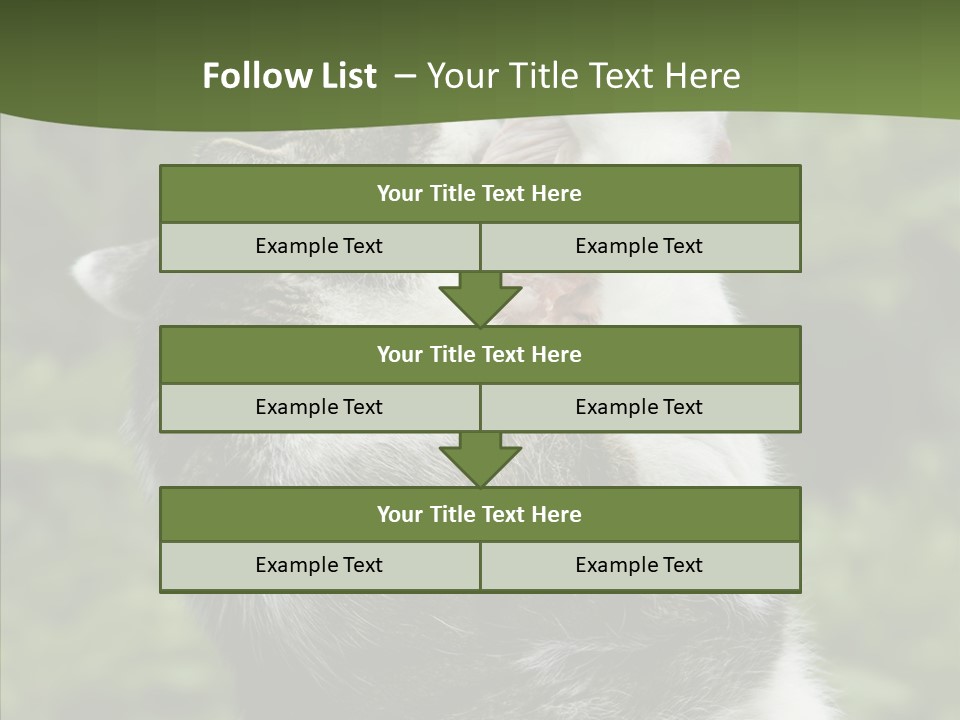 Animal Fresh Raw PowerPoint Template