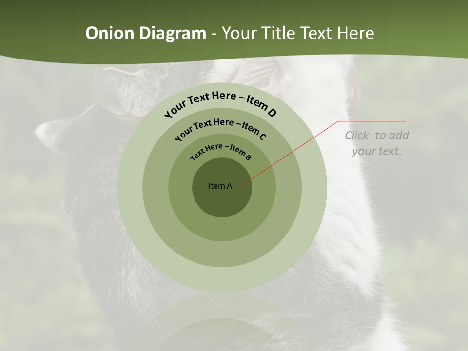 Animal Fresh Raw PowerPoint Template