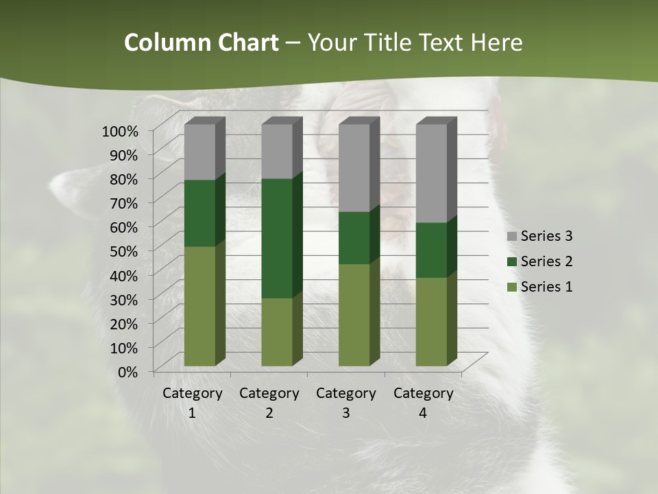 Animal Fresh Raw PowerPoint Template