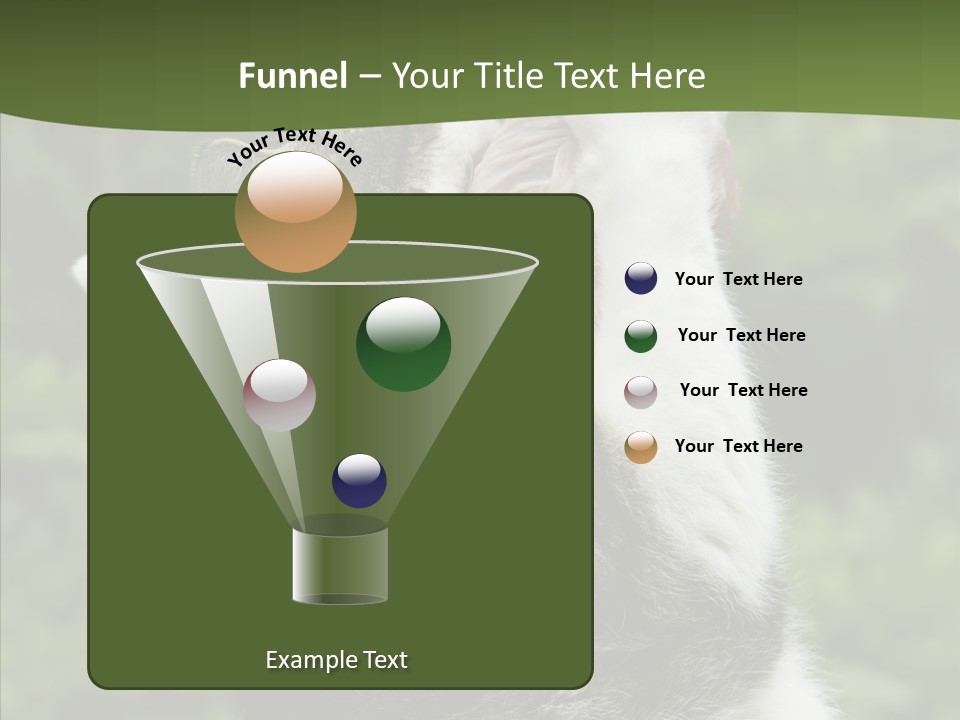 Animal Fresh Raw PowerPoint Template