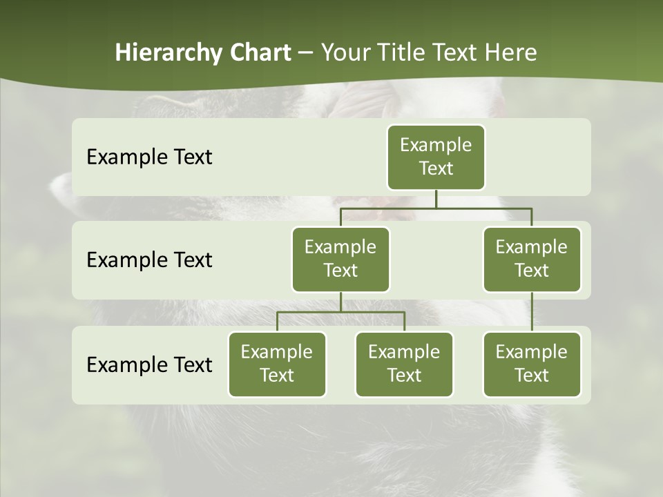 Animal Fresh Raw PowerPoint Template