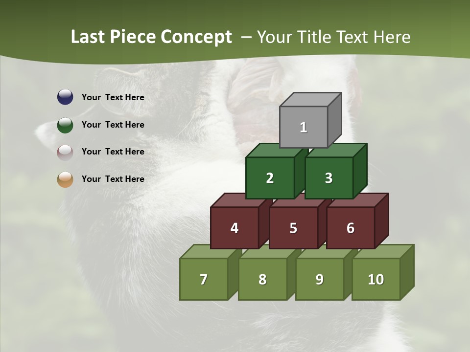 Animal Fresh Raw PowerPoint Template
