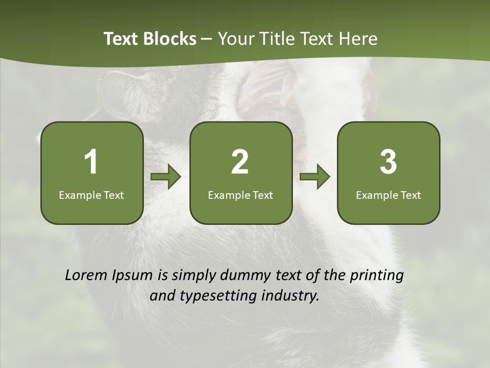 Animal Fresh Raw PowerPoint Template