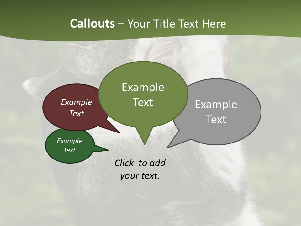 Animal Fresh Raw PowerPoint Template