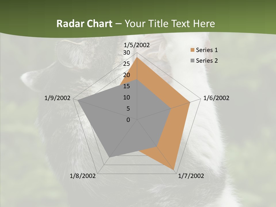 Animal Fresh Raw PowerPoint Template