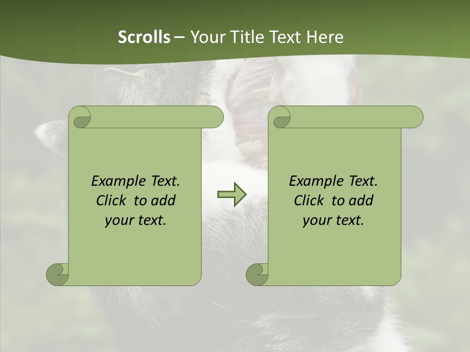 Animal Fresh Raw PowerPoint Template