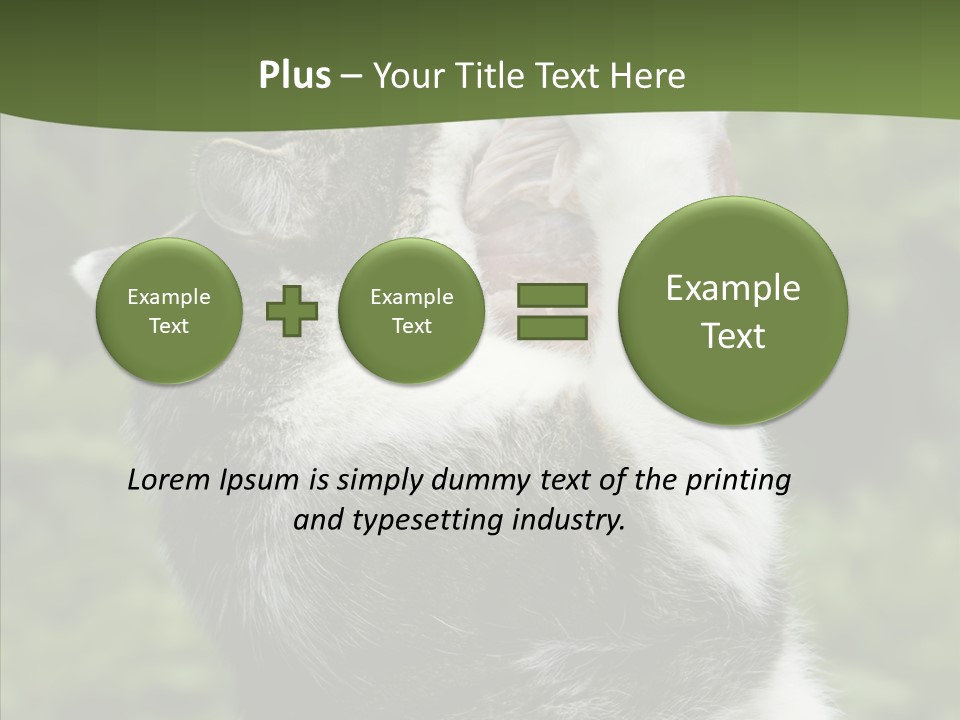 Animal Fresh Raw PowerPoint Template
