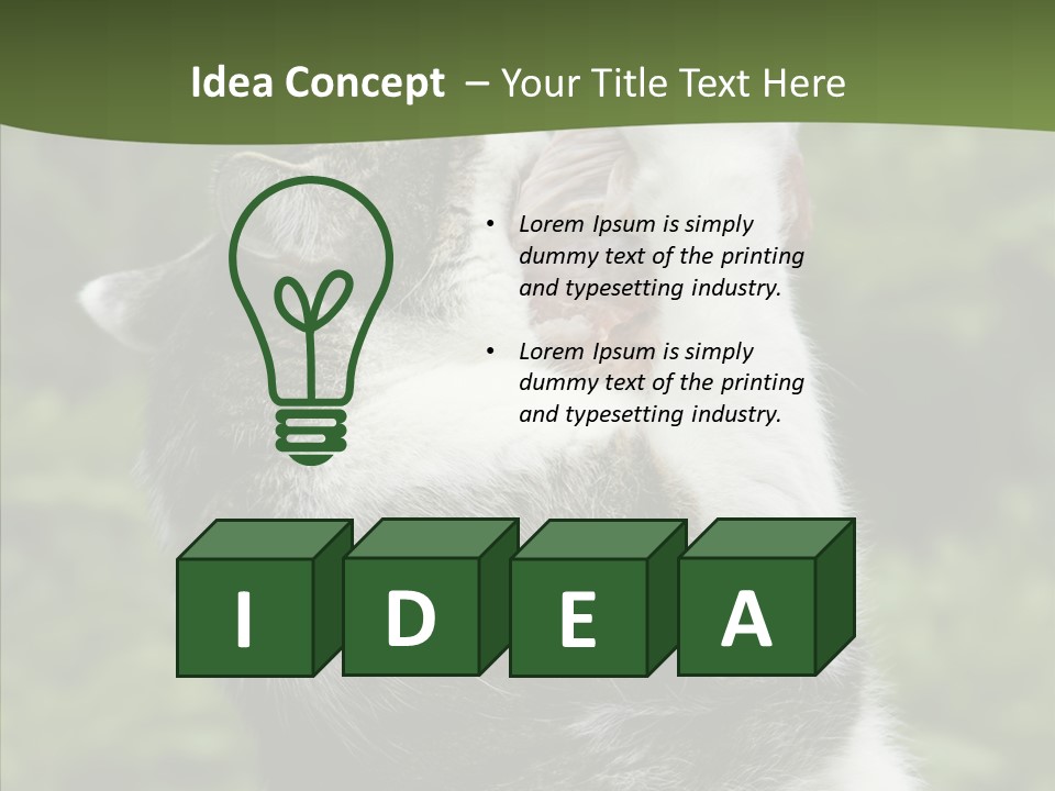 Animal Fresh Raw PowerPoint Template
