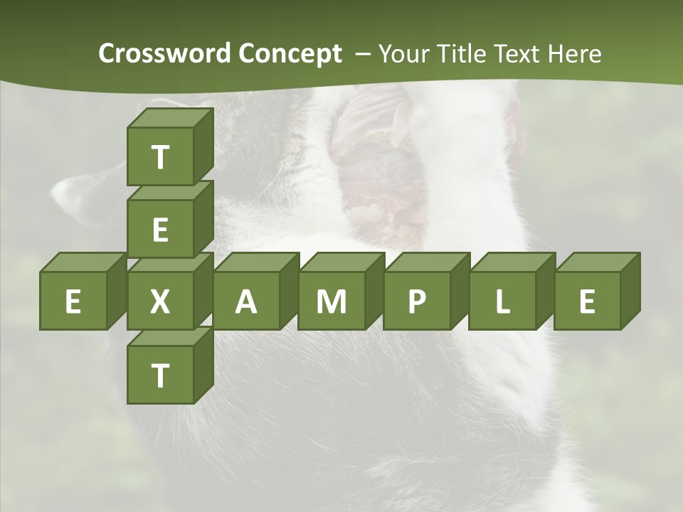 Animal Fresh Raw PowerPoint Template