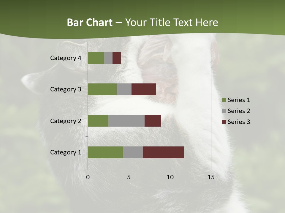 Animal Fresh Raw PowerPoint Template