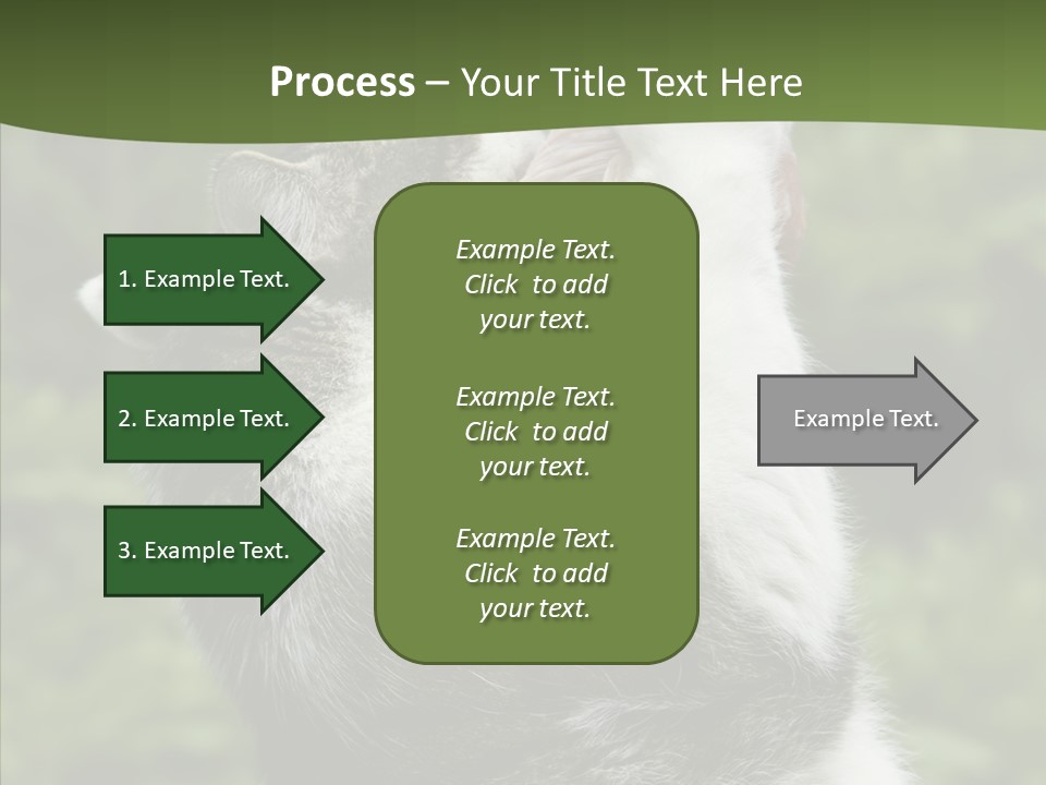 Animal Fresh Raw PowerPoint Template