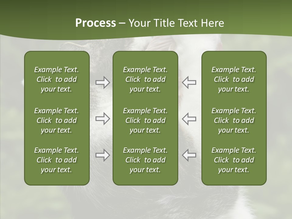 Animal Fresh Raw PowerPoint Template