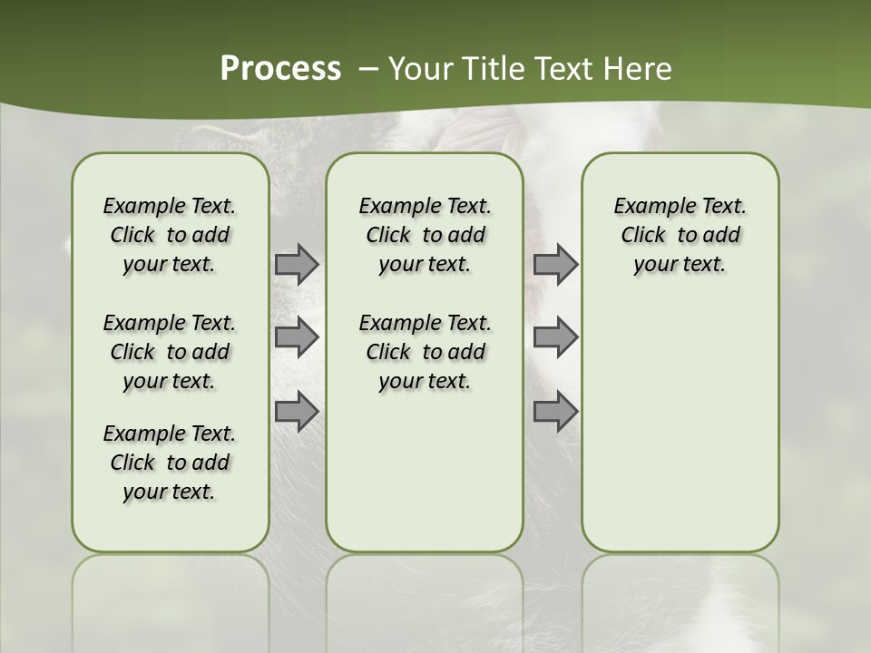 Animal Fresh Raw PowerPoint Template