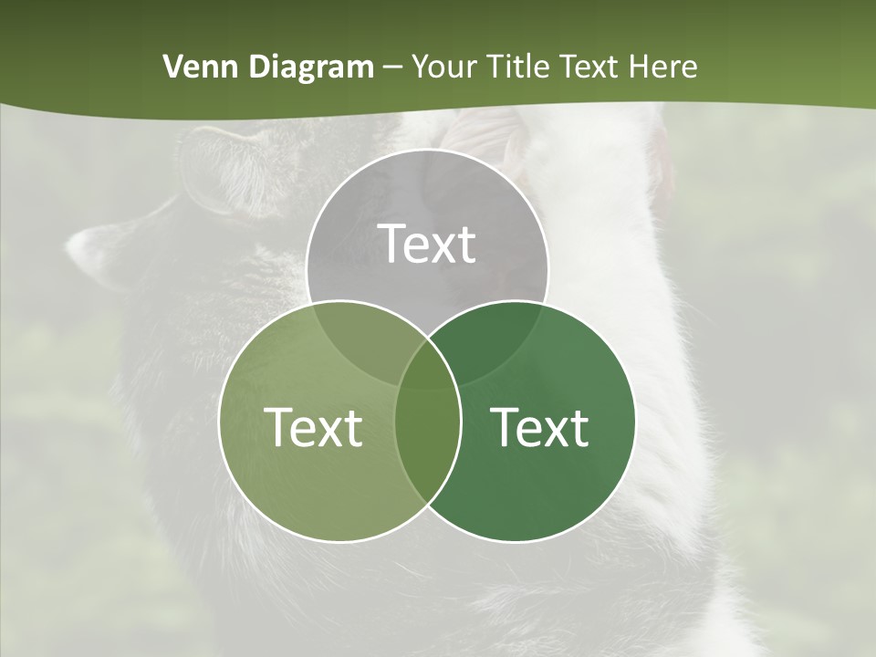 Animal Fresh Raw PowerPoint Template