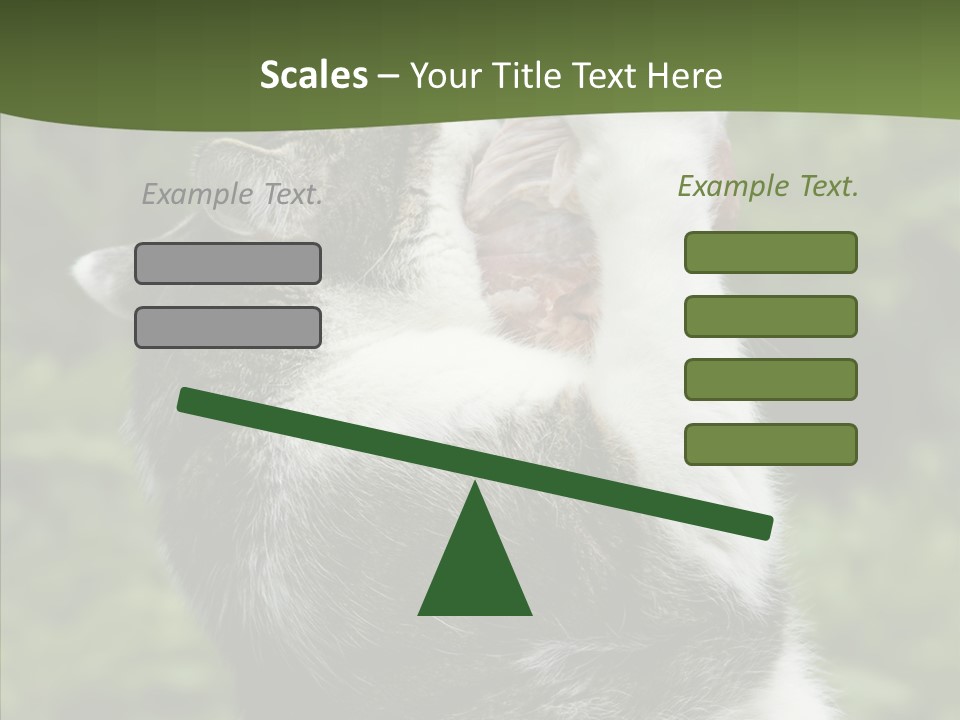 Animal Fresh Raw PowerPoint Template
