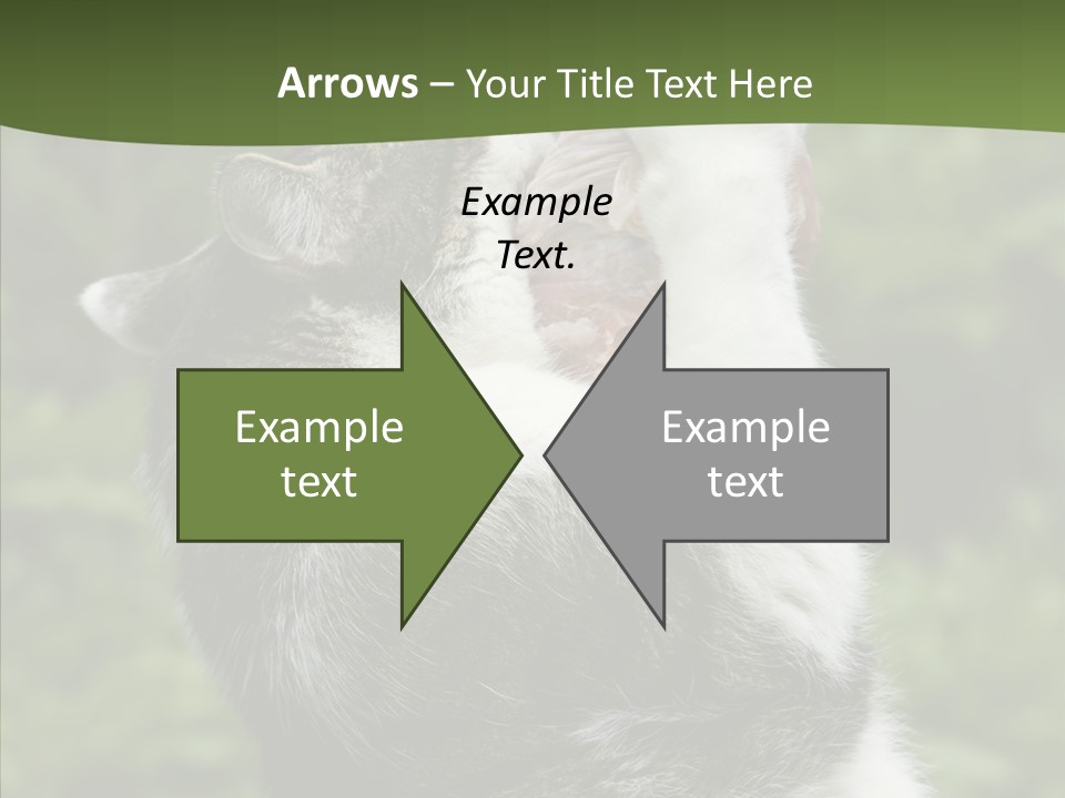 Animal Fresh Raw PowerPoint Template