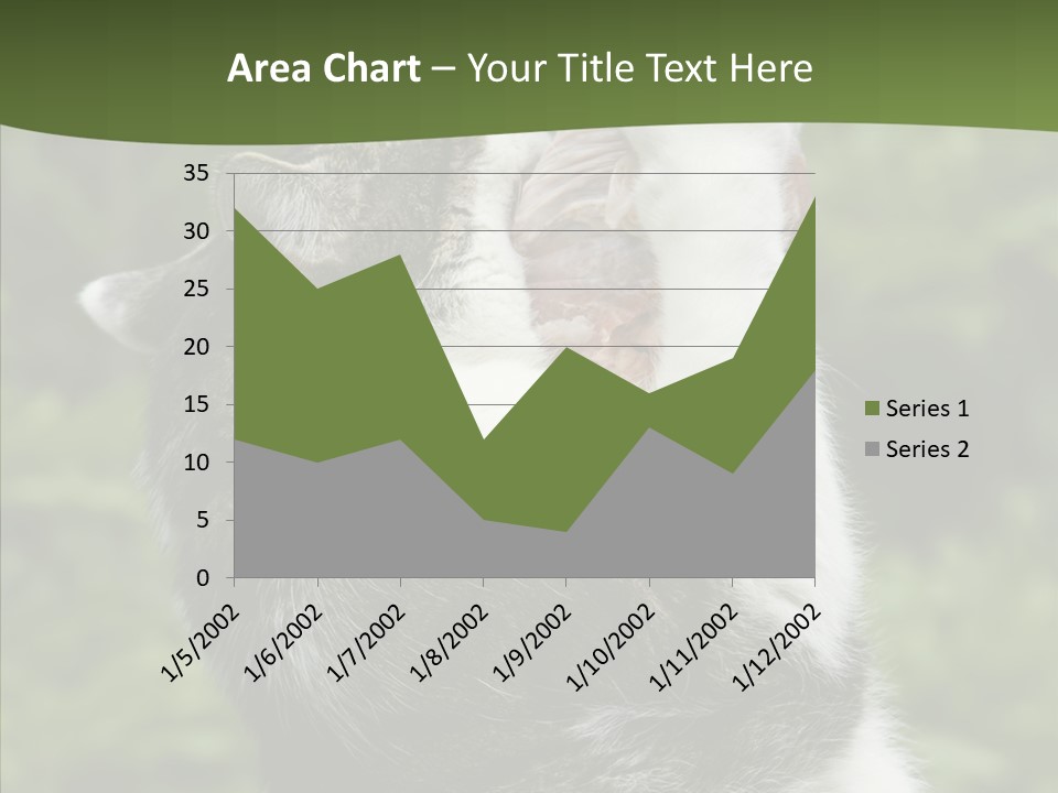 Animal Fresh Raw PowerPoint Template