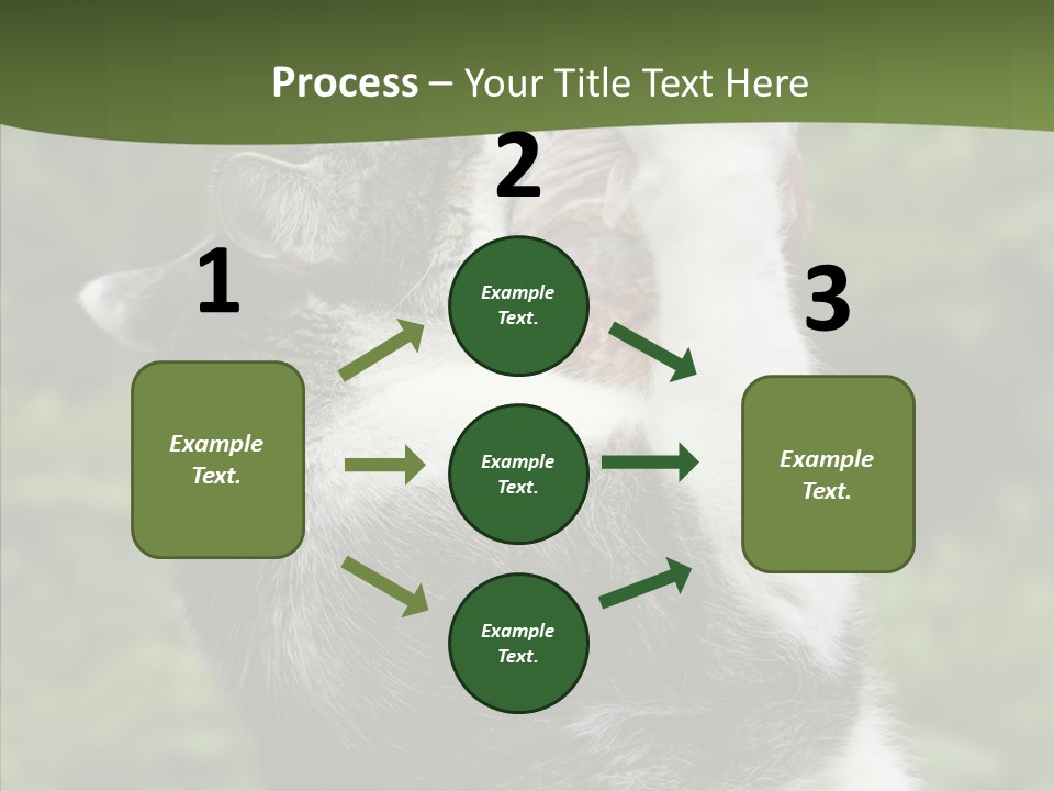 Animal Fresh Raw PowerPoint Template