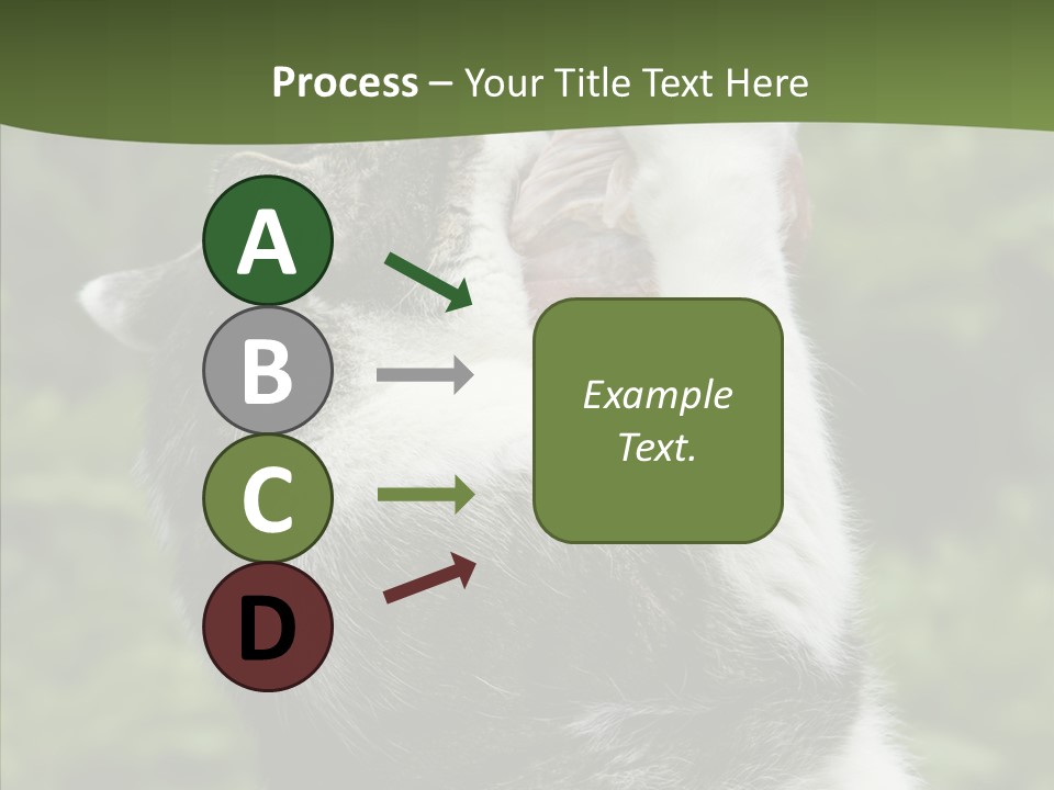 Animal Fresh Raw PowerPoint Template