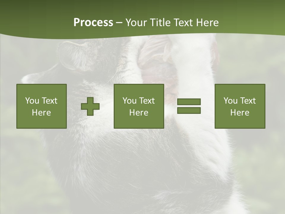 Animal Fresh Raw PowerPoint Template