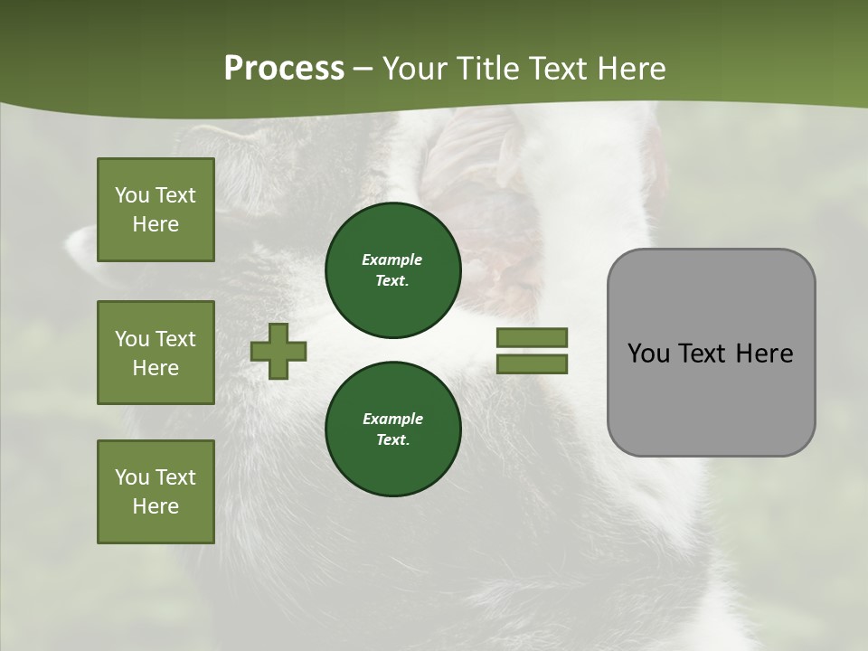 Animal Fresh Raw PowerPoint Template