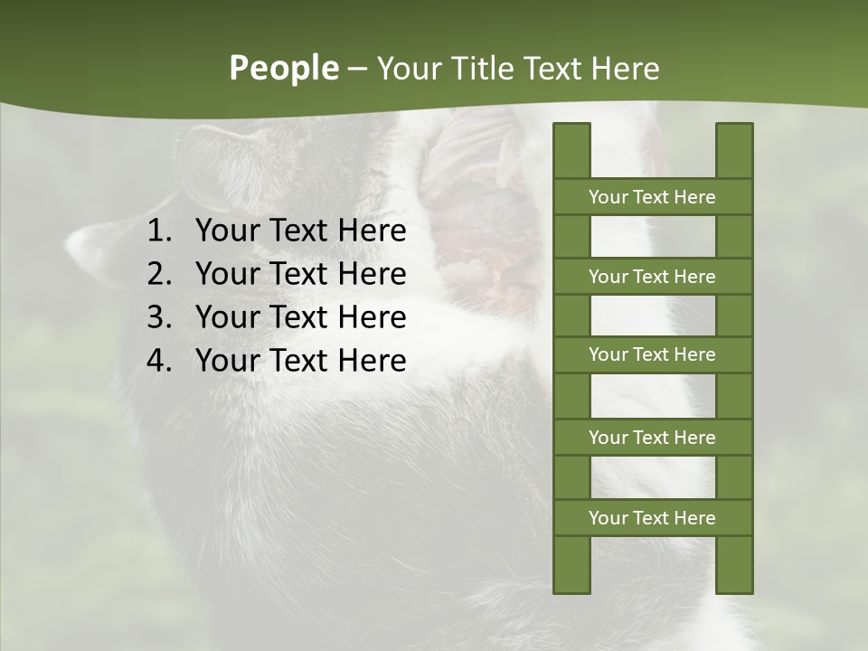 Animal Fresh Raw PowerPoint Template