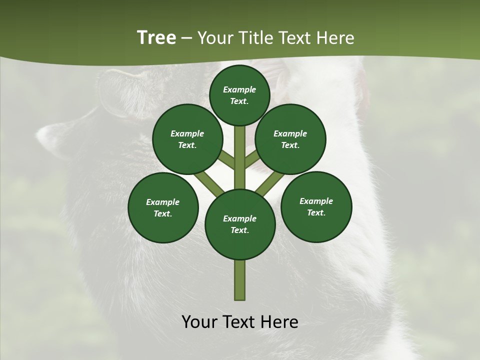 Animal Fresh Raw PowerPoint Template