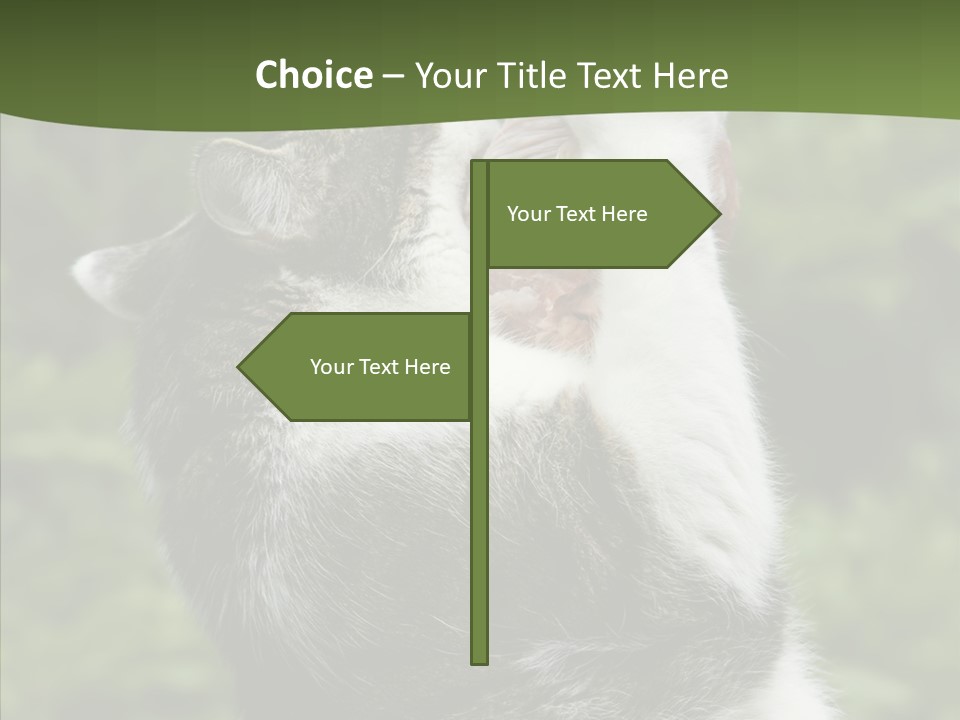 Animal Fresh Raw PowerPoint Template