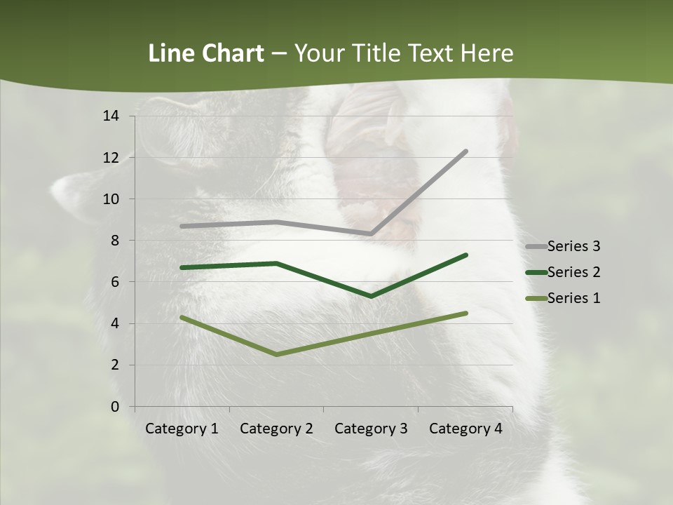 Animal Fresh Raw PowerPoint Template