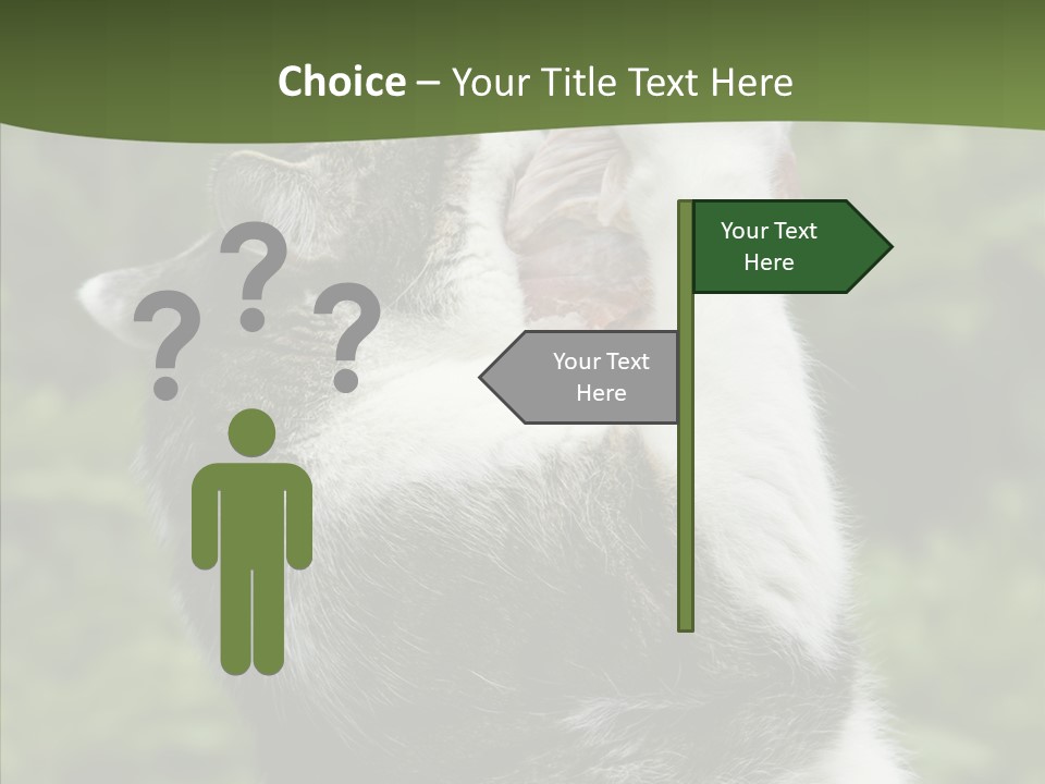 Animal Fresh Raw PowerPoint Template