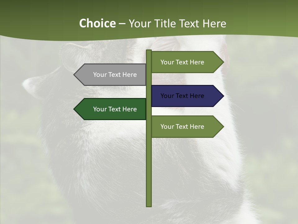 Animal Fresh Raw PowerPoint Template