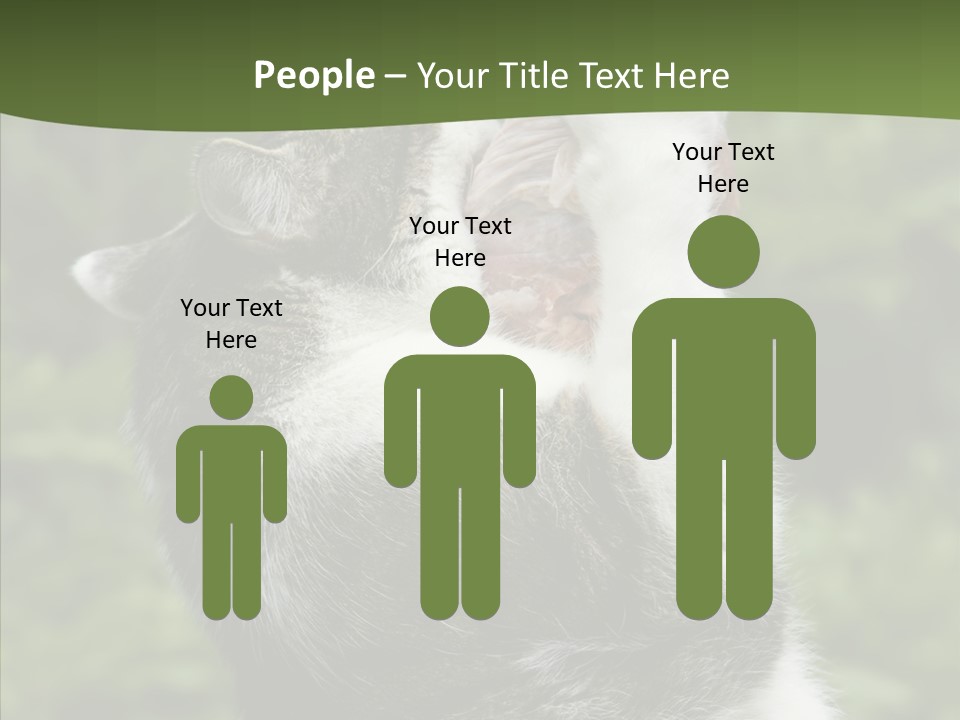 Animal Fresh Raw PowerPoint Template