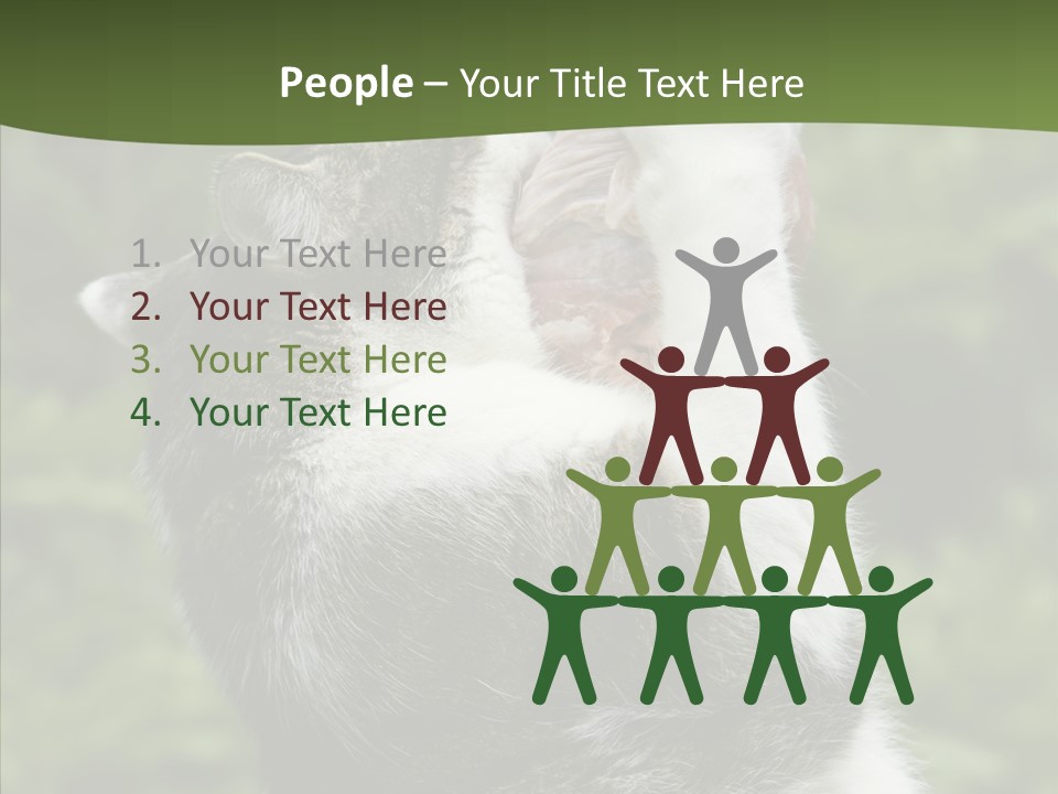 Animal Fresh Raw PowerPoint Template