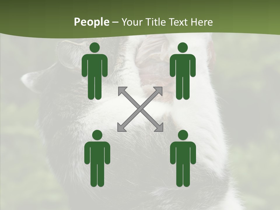 Animal Fresh Raw PowerPoint Template