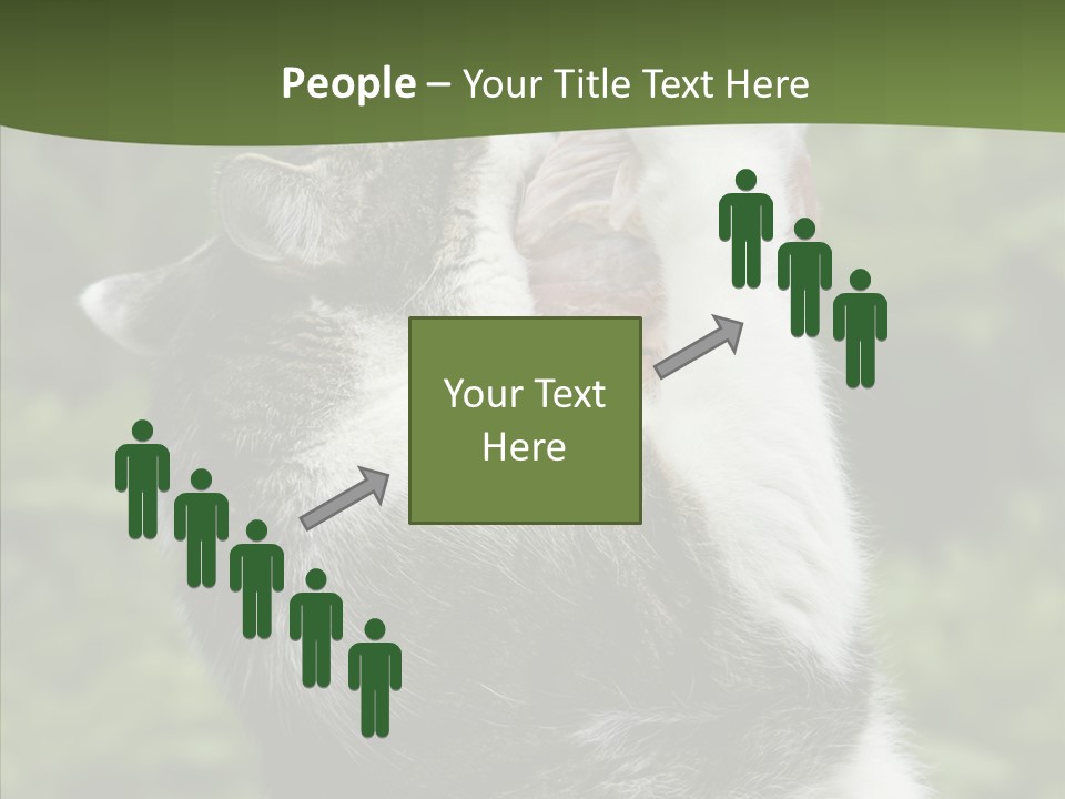 Animal Fresh Raw PowerPoint Template