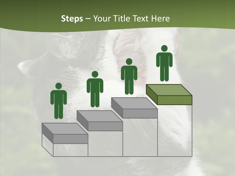 Animal Fresh Raw PowerPoint Template