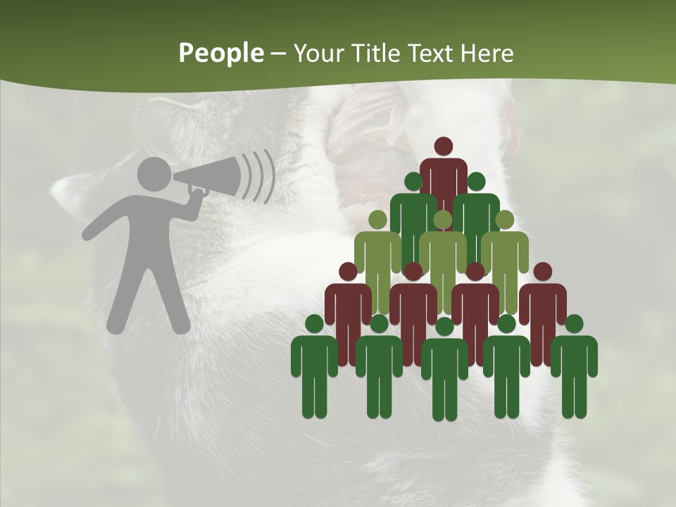 Animal Fresh Raw PowerPoint Template