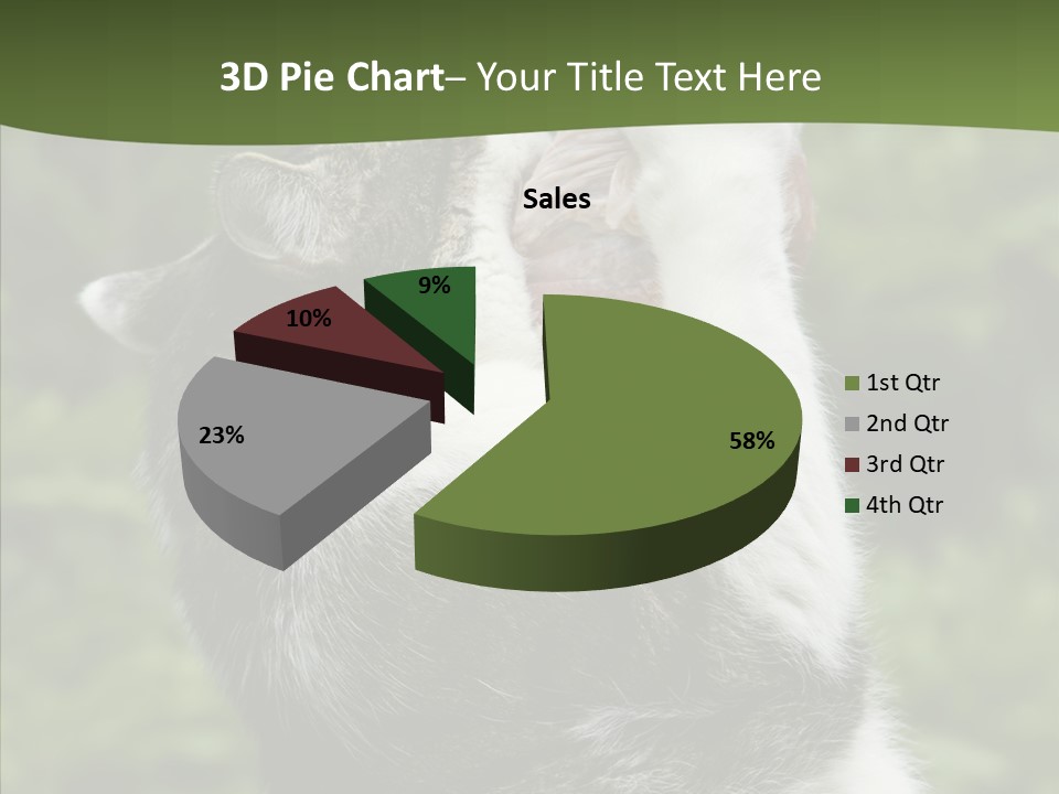 Animal Fresh Raw PowerPoint Template