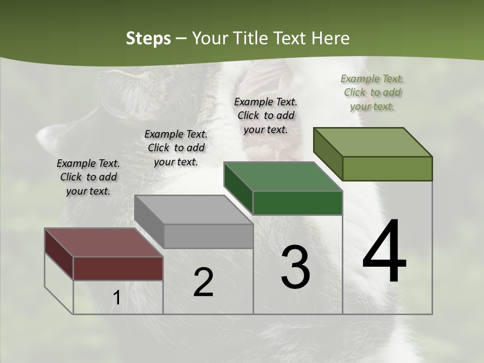 Animal Fresh Raw PowerPoint Template