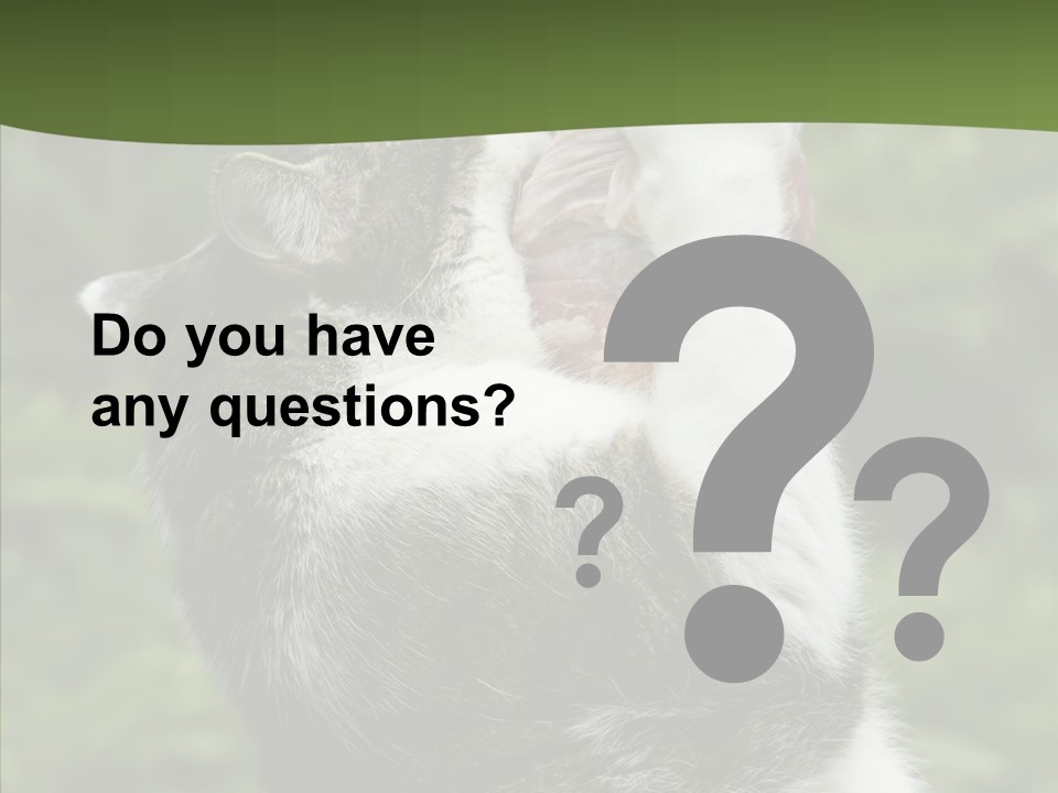 Animal Fresh Raw PowerPoint Template