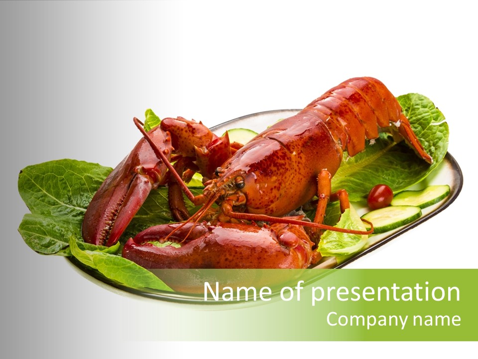 Luxury Crustacean Diet PowerPoint Template