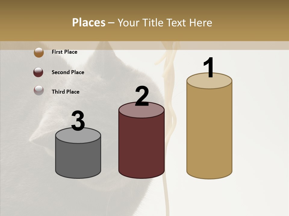 Meeting Per On Teamwork PowerPoint Template