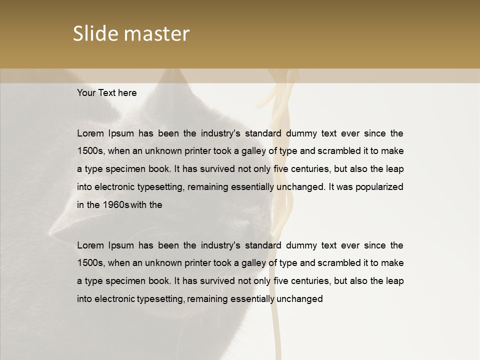 Meeting Per On Teamwork PowerPoint Template