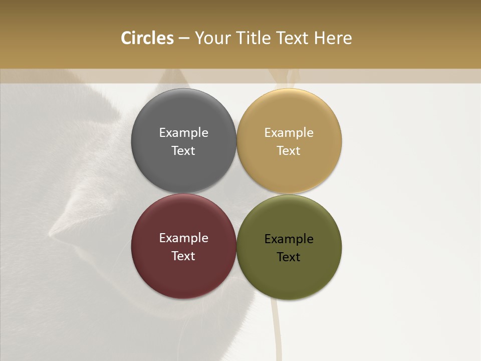 Meeting Per On Teamwork PowerPoint Template
