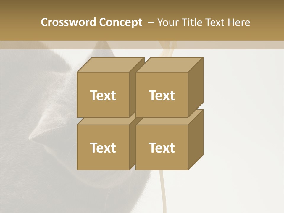 Meeting Per On Teamwork PowerPoint Template
