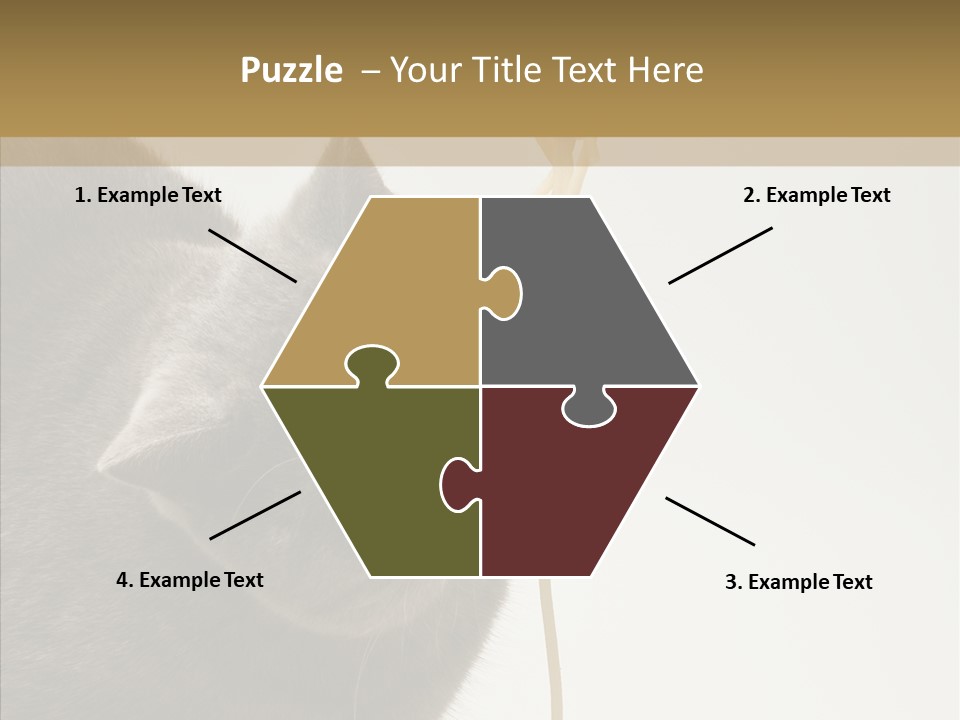 Meeting Per On Teamwork PowerPoint Template