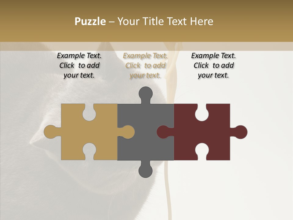 Meeting Per On Teamwork PowerPoint Template